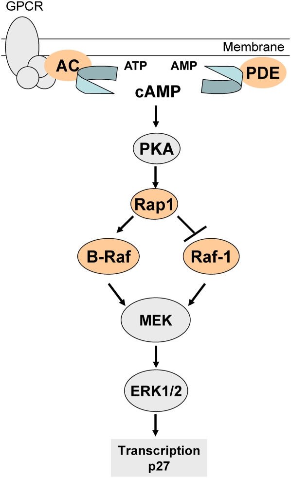 FIG. 9.