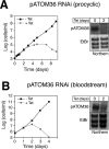 FIGURE 4: