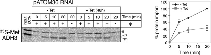 FIGURE 6: