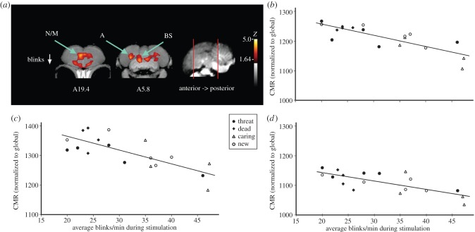 Figure 2.