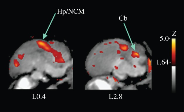 Figure 4.