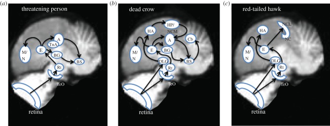 Figure 5.