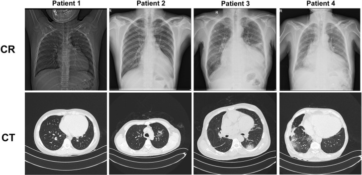 Figure 1