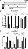 FIG 2