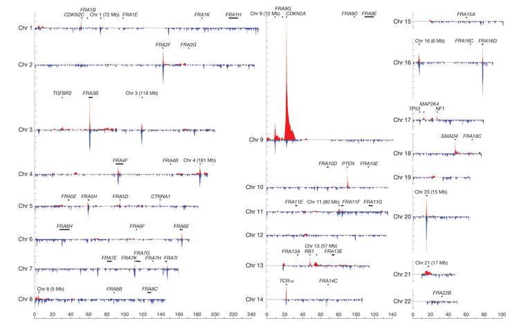 Signatures of mutation and selection in the cancer genome - PMC