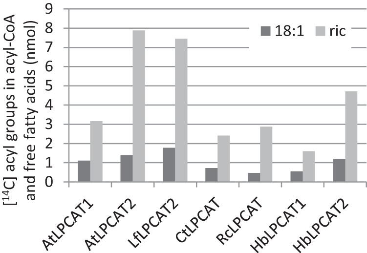 FIGURE 12.