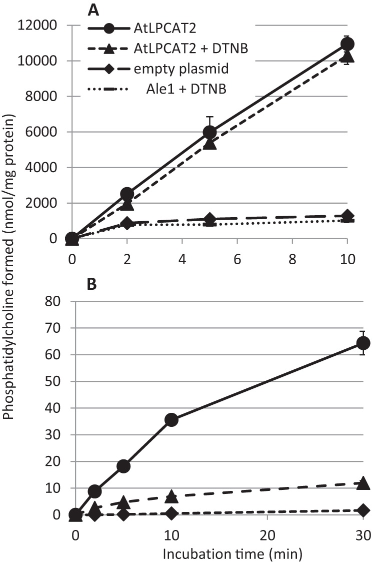 FIGURE 1.