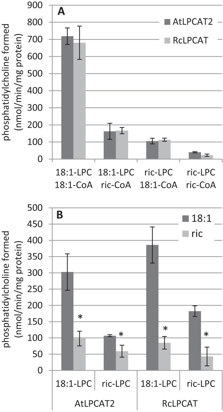 FIGURE 11.