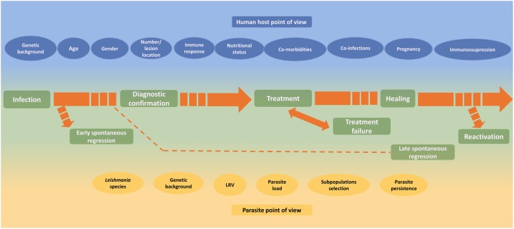 FIGURE 3