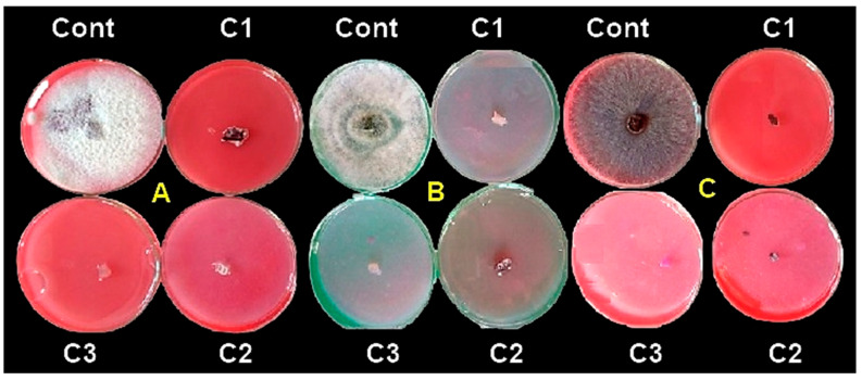 Figure 6