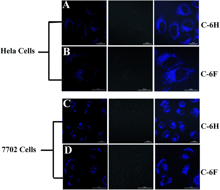 Fig. 9