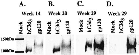 FIG. 6.