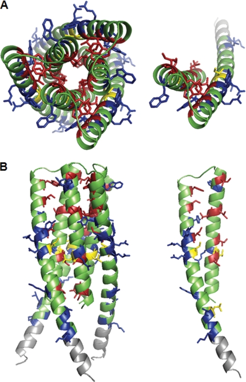 FIGURE 4.