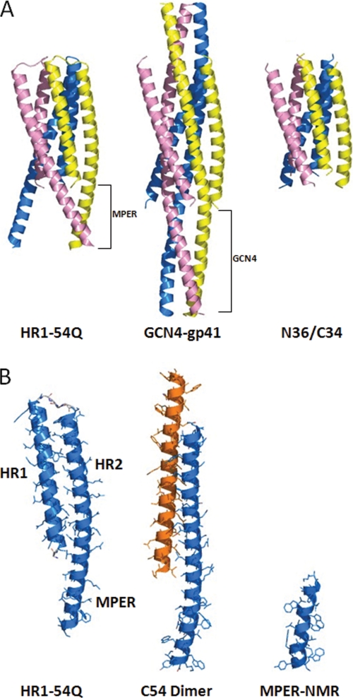 FIGURE 2.