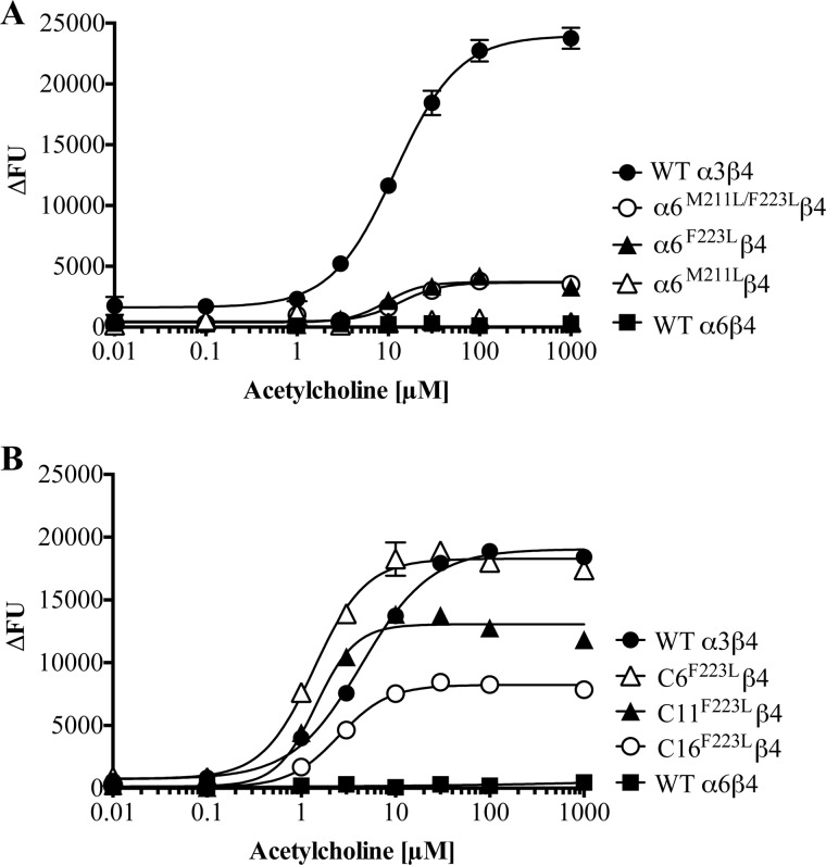 FIGURE 4.