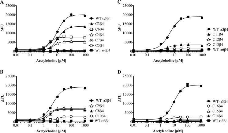 FIGURE 3.