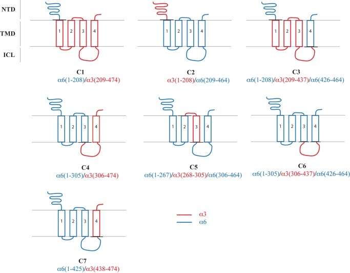 FIGURE 1.