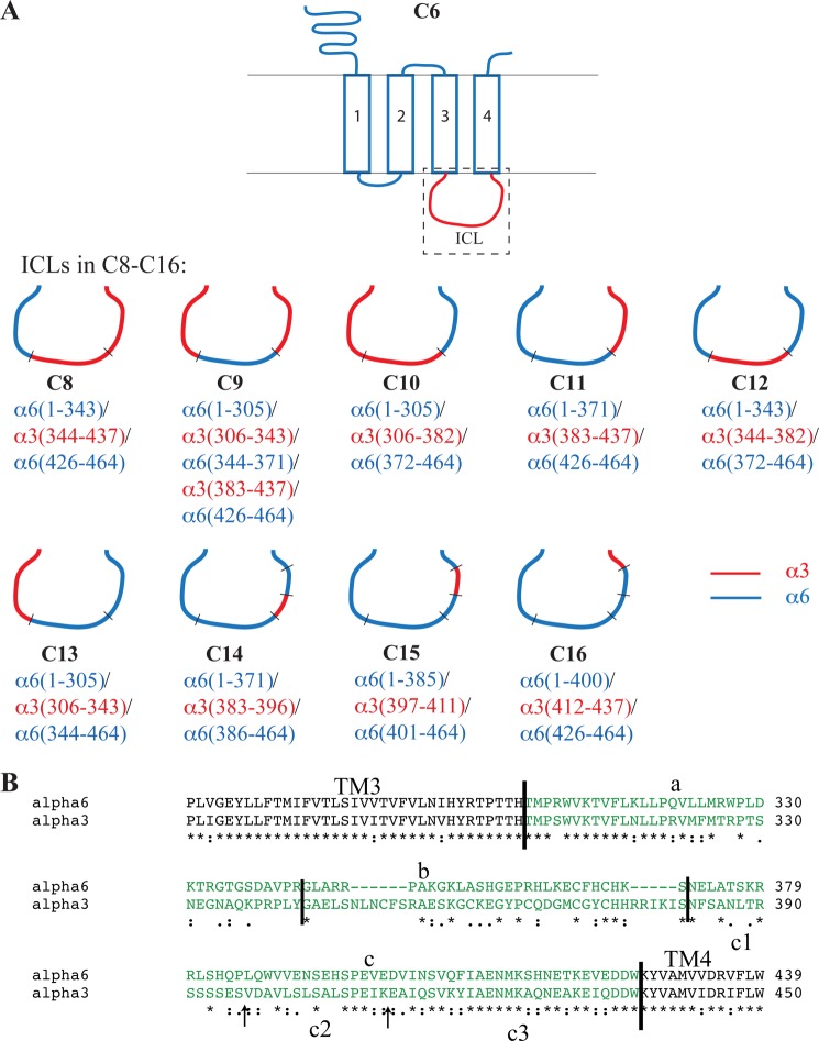 FIGURE 2.