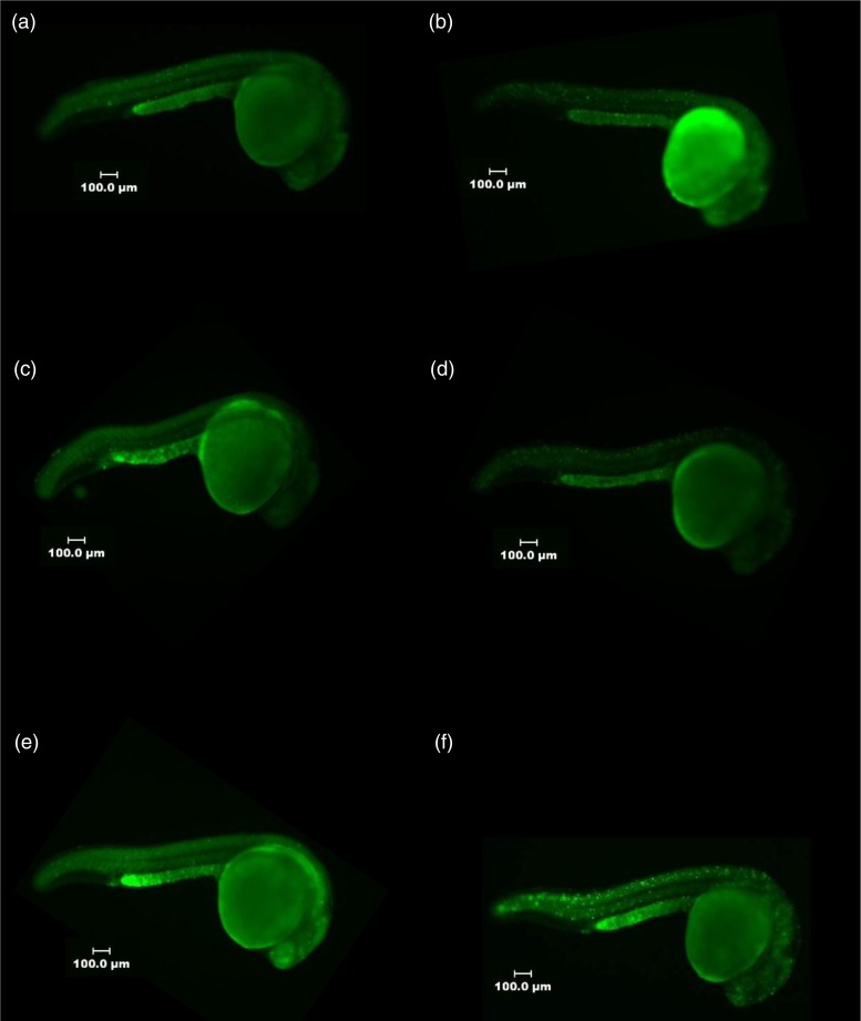 Fig. 2.