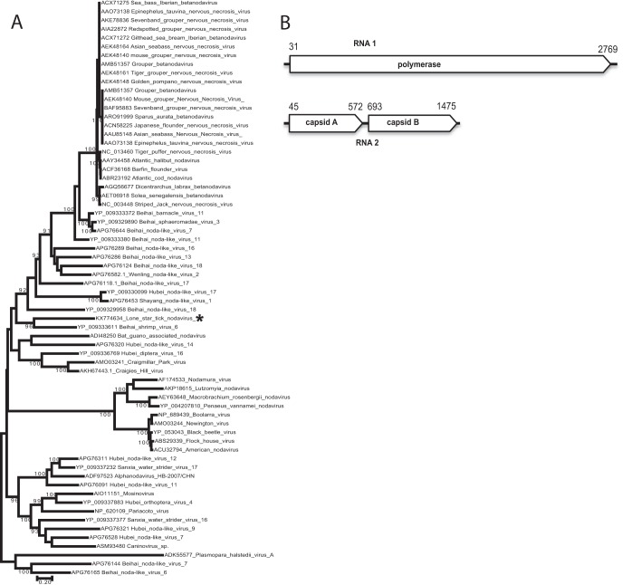 FIG 6 