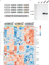 Extended Data Fig. 6