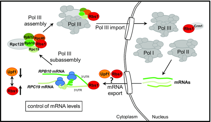 Figure 11.