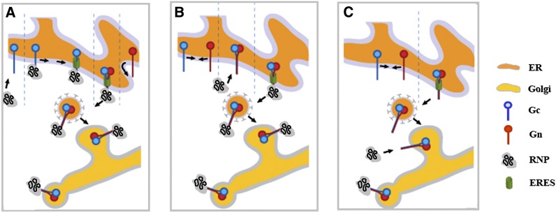 Figure 9.