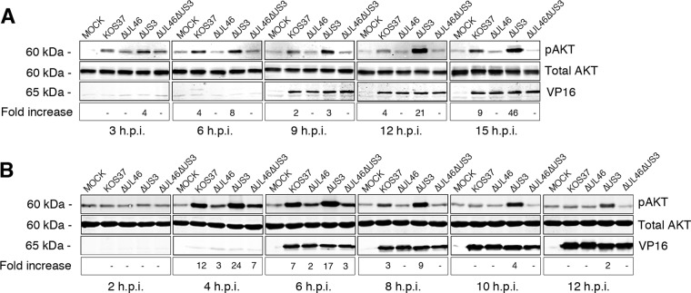 FIG 3