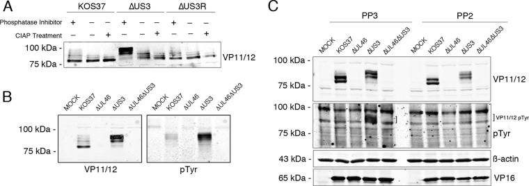 FIG 2