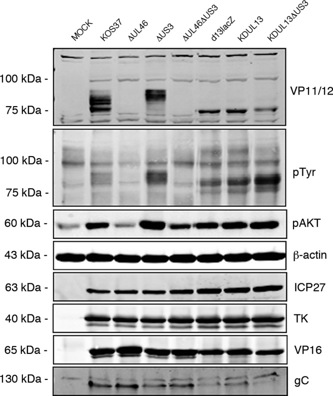 FIG 4