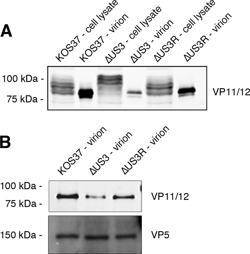 FIG 5