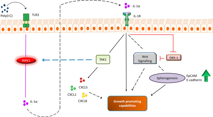 Fig. 13