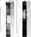 FIG. 7.
