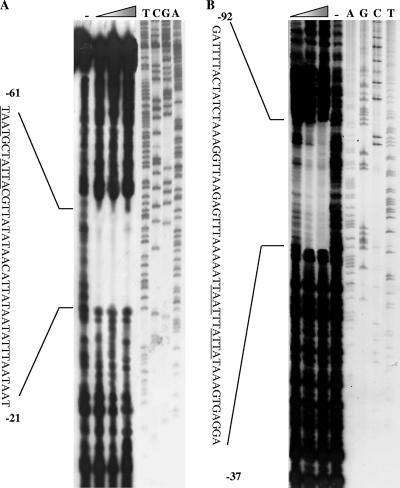 FIG. 7.