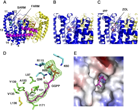 FIGURE 2.