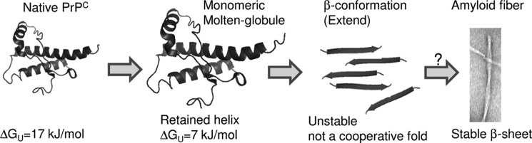 FIGURE 10.