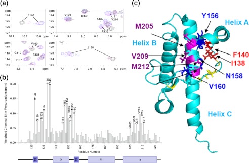 FIGURE 1.