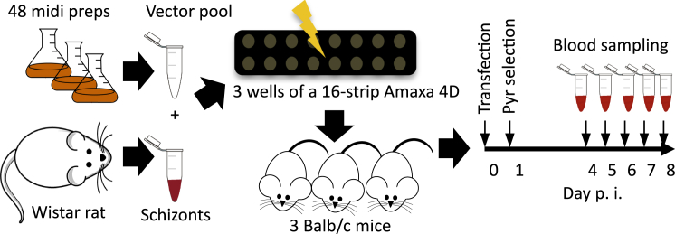 Figure 2