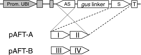 Fig. 2