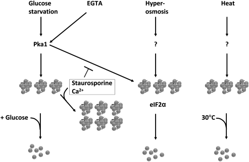 FIGURE 9.