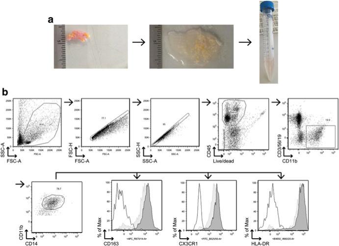 Fig. 12.2