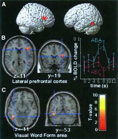 Fig 3.