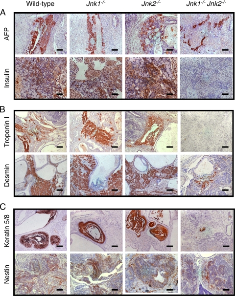 FIG. 7.