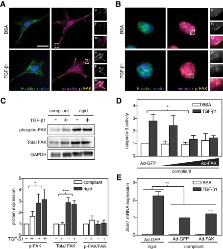 FIGURE 6: