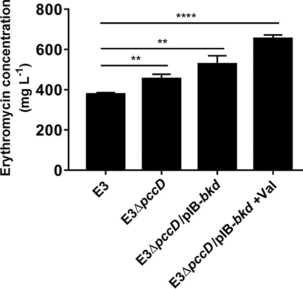 FIG 5