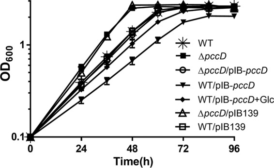 FIG 3