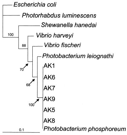 FIG. 3.