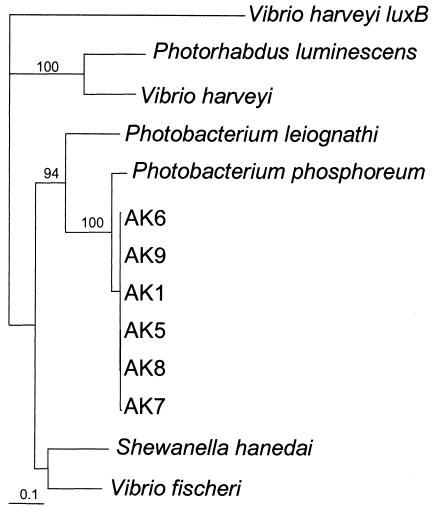 FIG. 2.