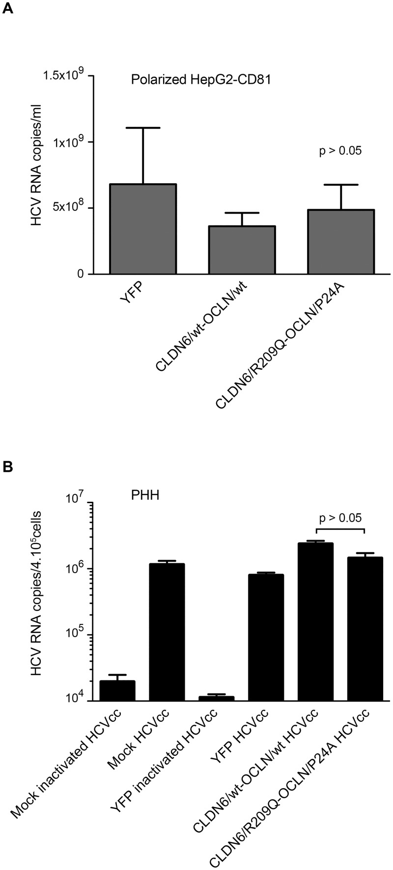 Fig 7