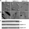 FIG. 9.